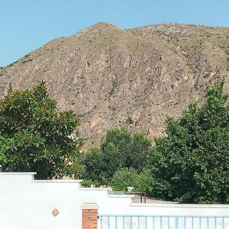 Recovery Mountain Homestay Alicante Buitenkant foto