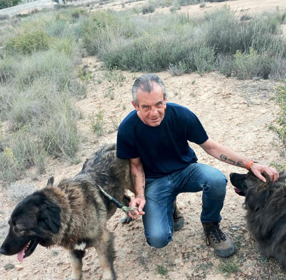 Recovery Mountain Homestay Alicante Buitenkant foto